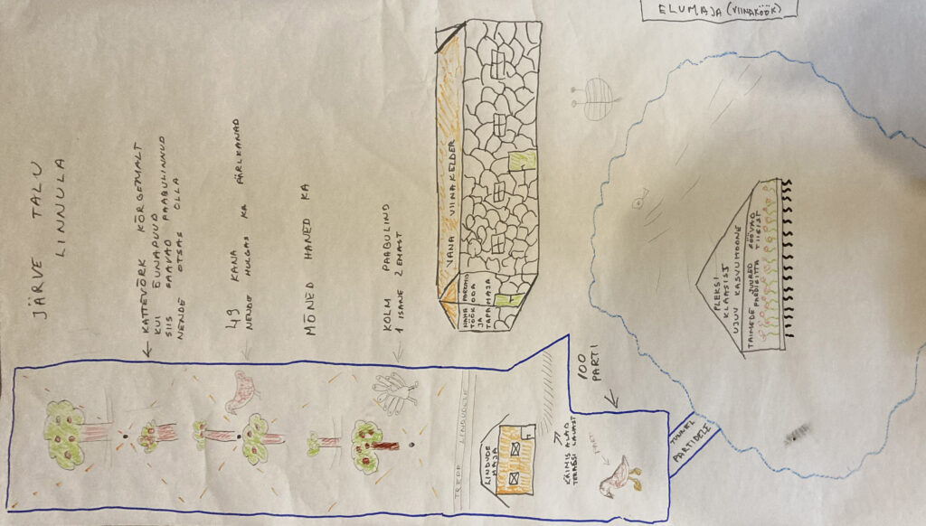 Poultry yard plan