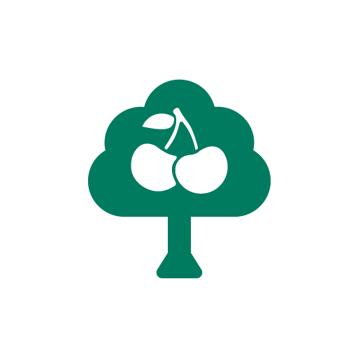 Cherry Tree Icon